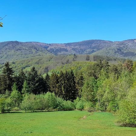 Ville Centre - Gite Le Villois - Au Coeur De L'Alsace Exteriér fotografie