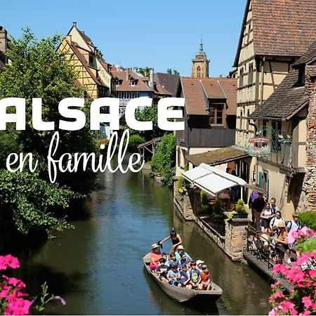 Ville Centre - Gite Le Villois - Au Coeur De L'Alsace Exteriér fotografie