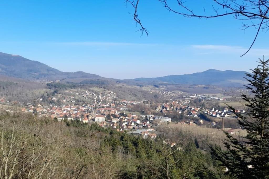 Ville Centre - Gite Le Villois - Au Coeur De L'Alsace Exteriér fotografie