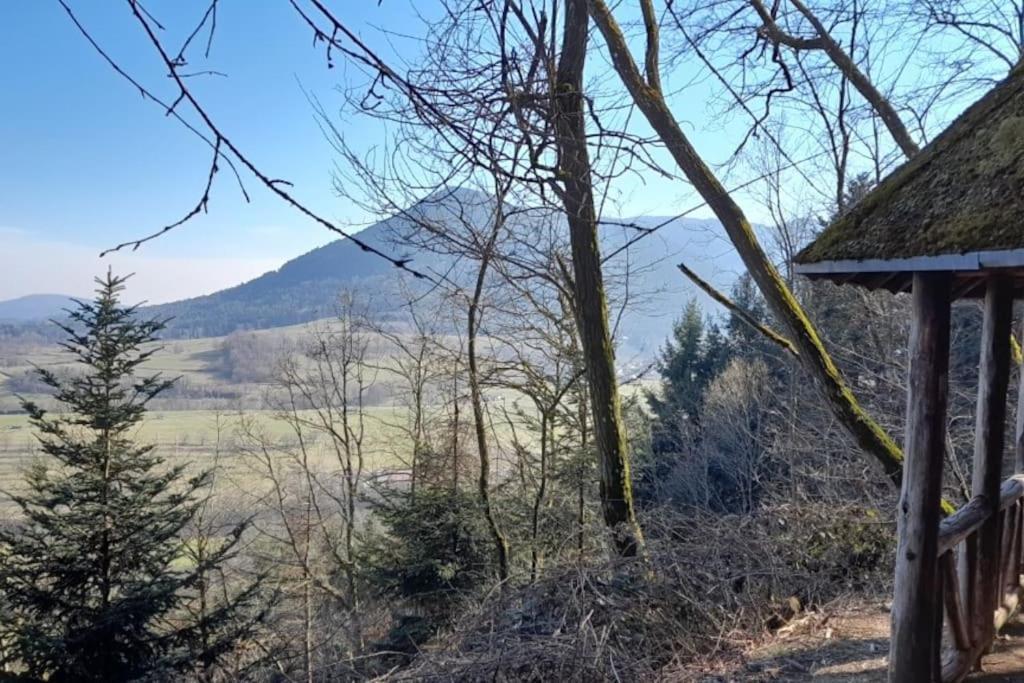 Ville Centre - Gite Le Villois - Au Coeur De L'Alsace Exteriér fotografie