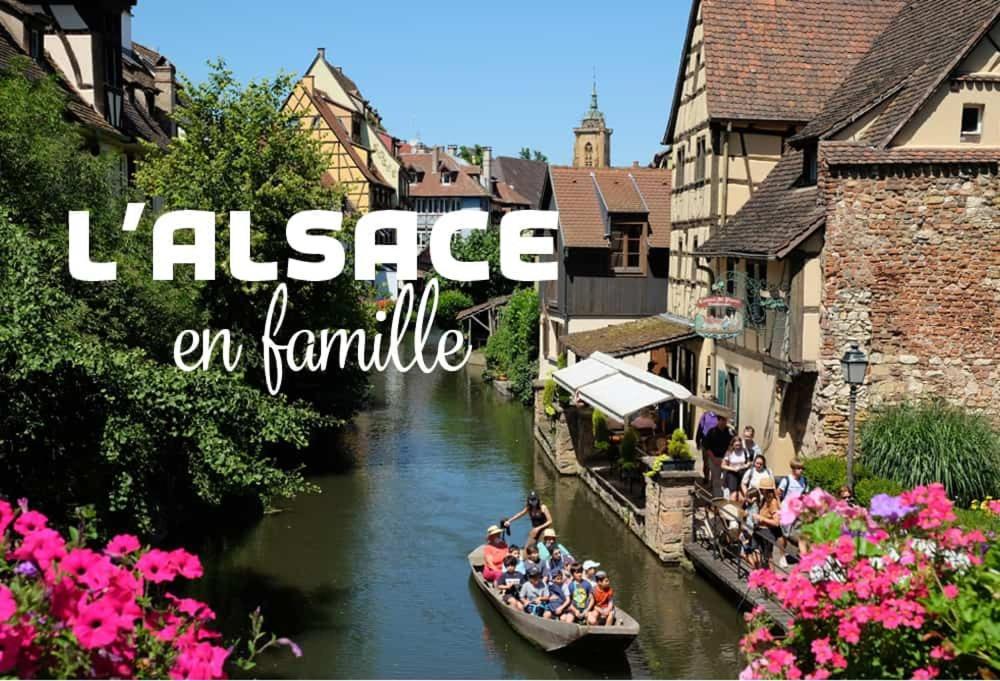 Ville Centre - Gite Le Villois - Au Coeur De L'Alsace Exteriér fotografie