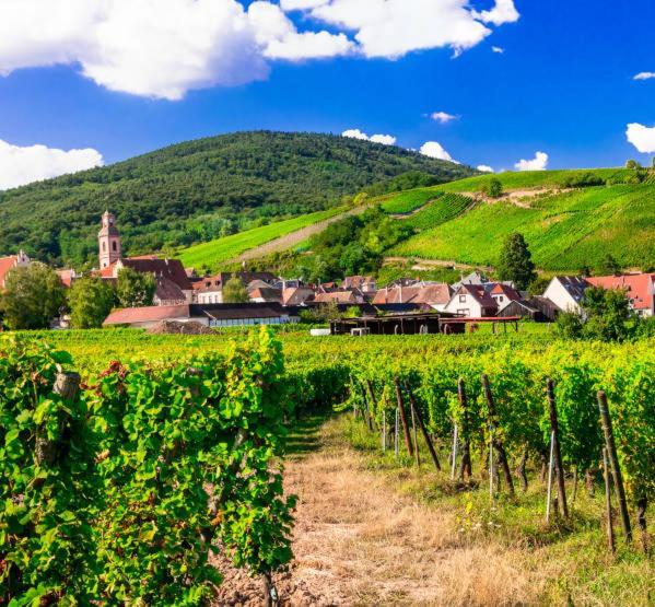 Ville Centre - Gite Le Villois - Au Coeur De L'Alsace Exteriér fotografie