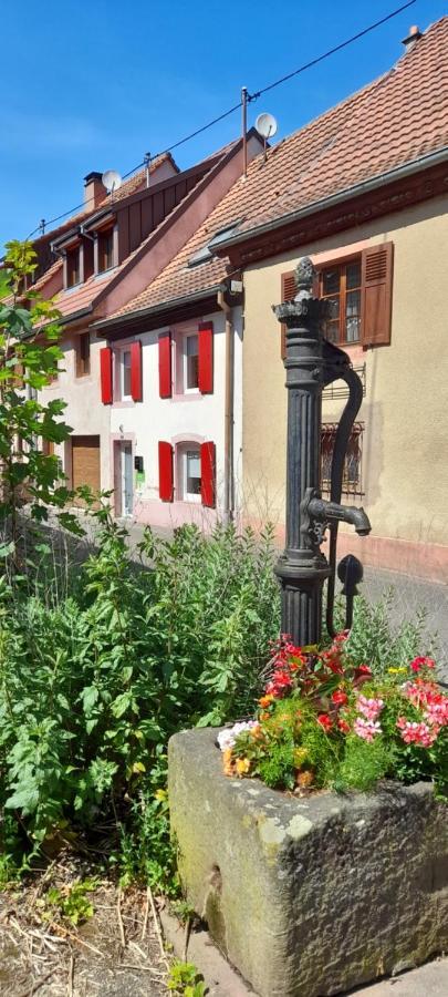 Ville Centre - Gite Le Villois - Au Coeur De L'Alsace Exteriér fotografie